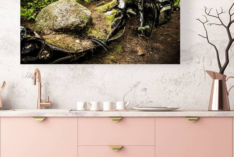 Boulder Car in Nature by Kelley McClure