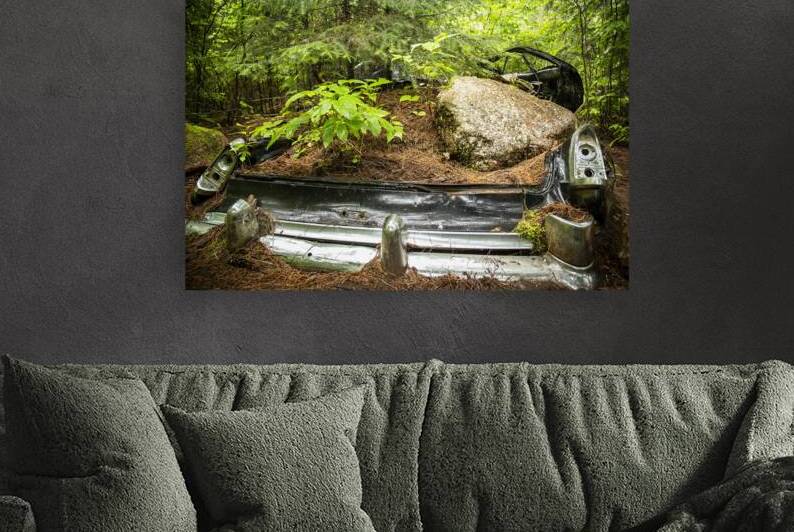 Car with Boulder in Nature by Kelley McClure