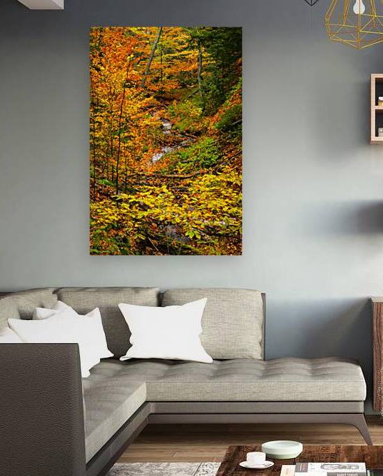 Fall in Munising Michigan by Kelley McClure