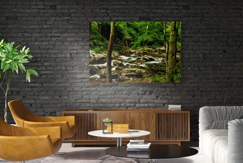 Smoky Mountain Stream Tennessee by Kelley McClure