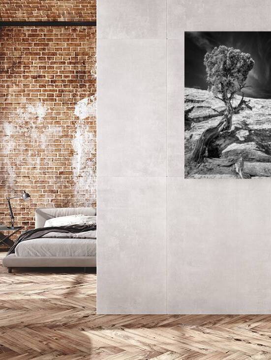 Weathered Juniper in Arches National Park by Kelley McClure