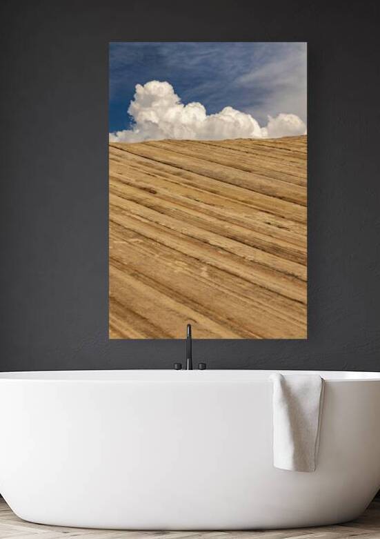 Zion Skies by Kelley McClure