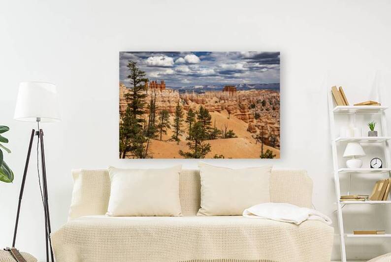 Bryce Canyon National Park Vista by Kelley McClure