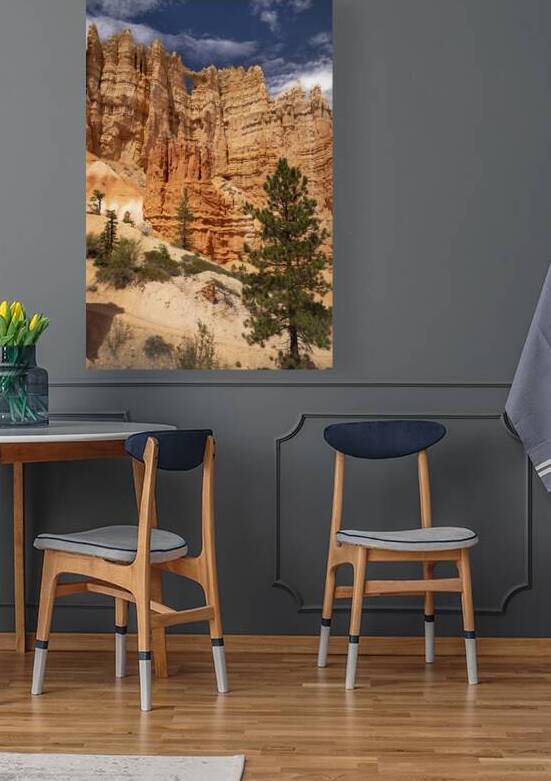 Bryce Canyon National Park Castle Window by Kelley McClure